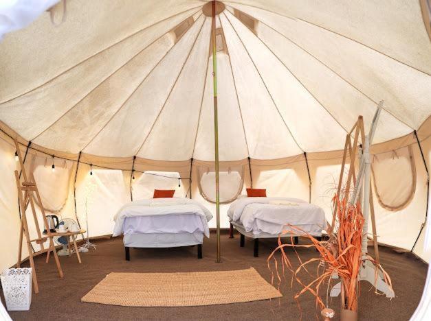 Safari Desert Camp Shahiq Екстер'єр фото