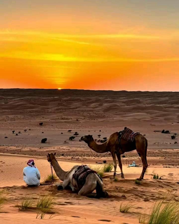 Safari Desert Camp Shahiq Екстер'єр фото